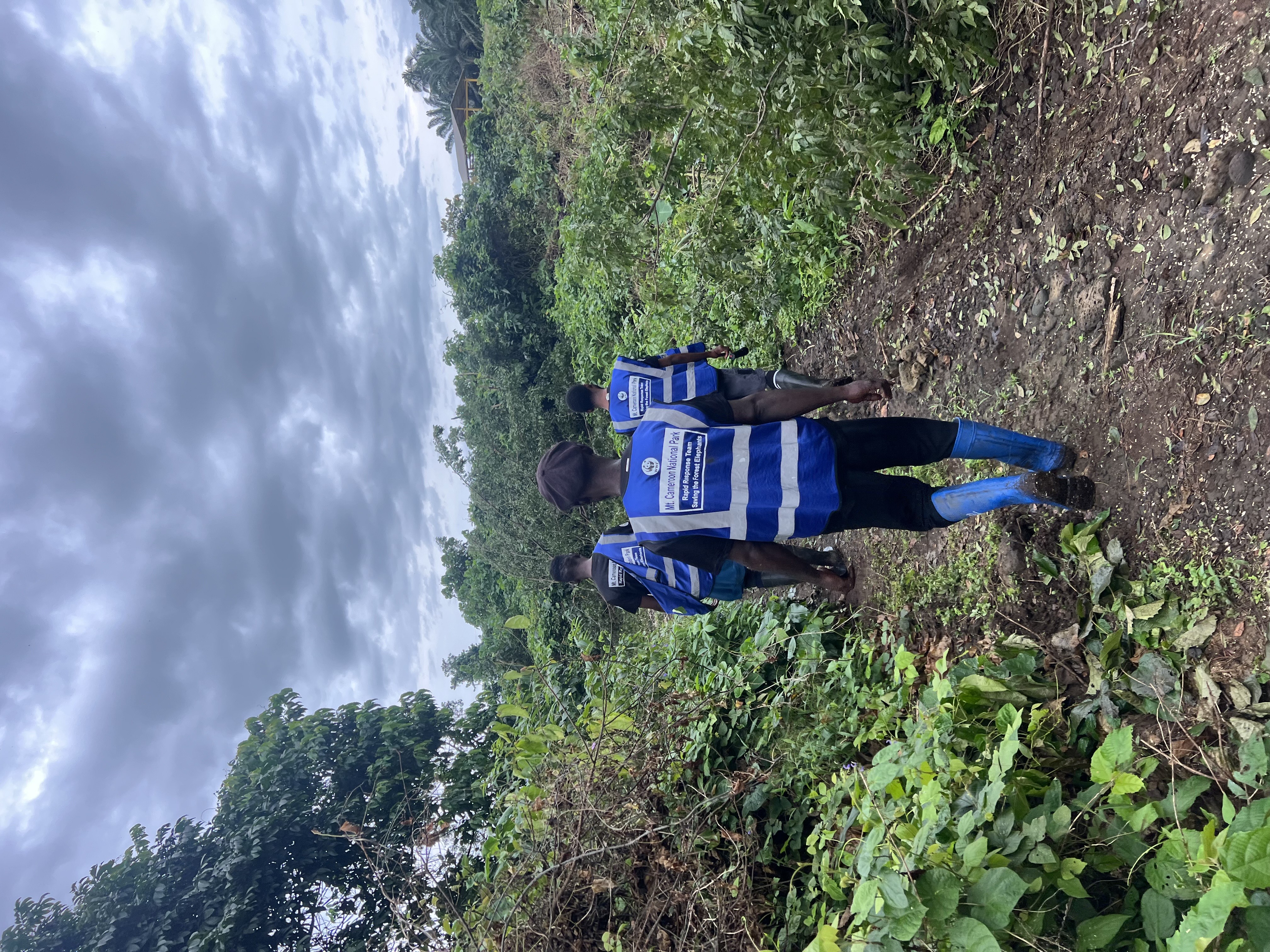 Elephant-Farmer Conflict Coastal Cameroon