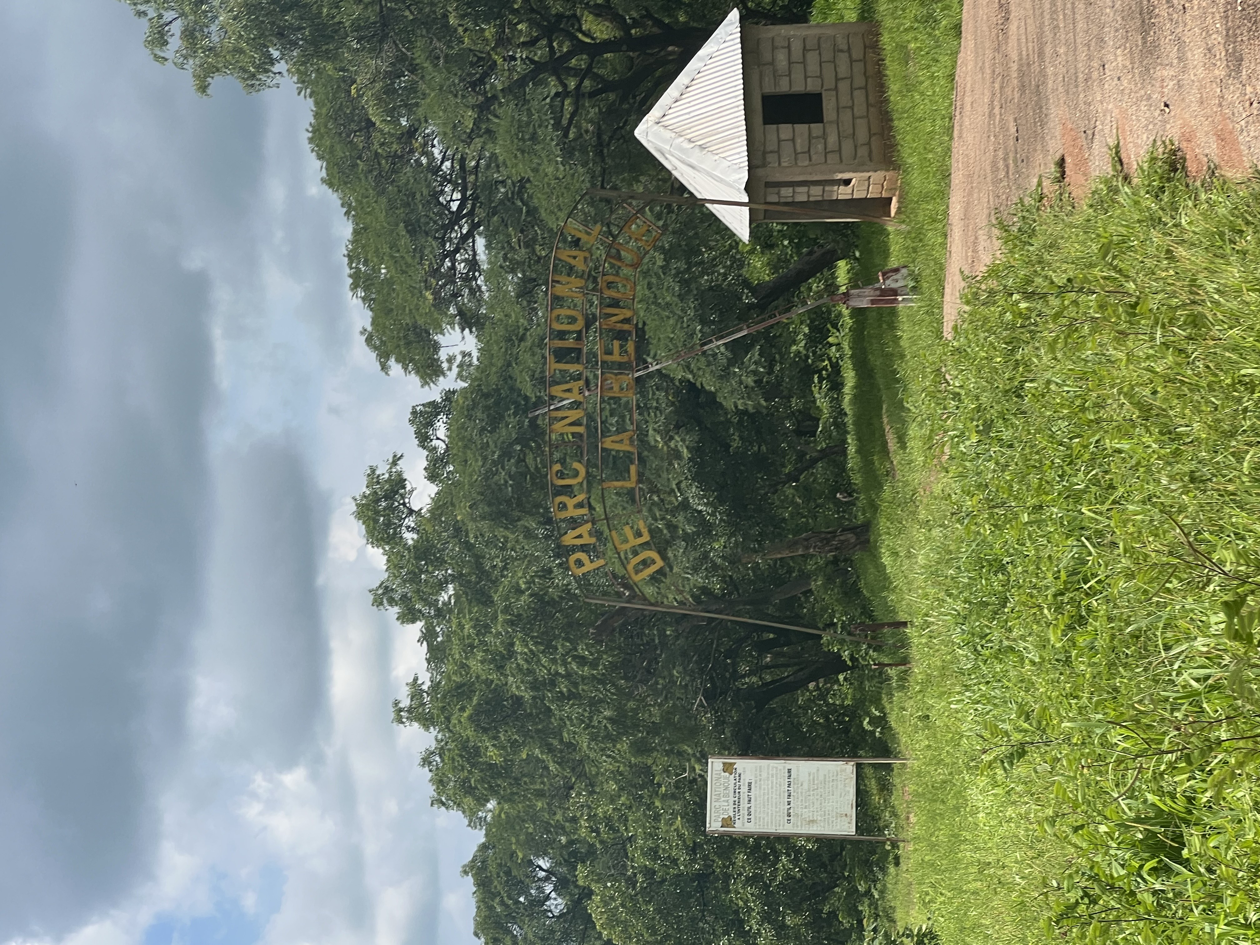 Benoue field photo