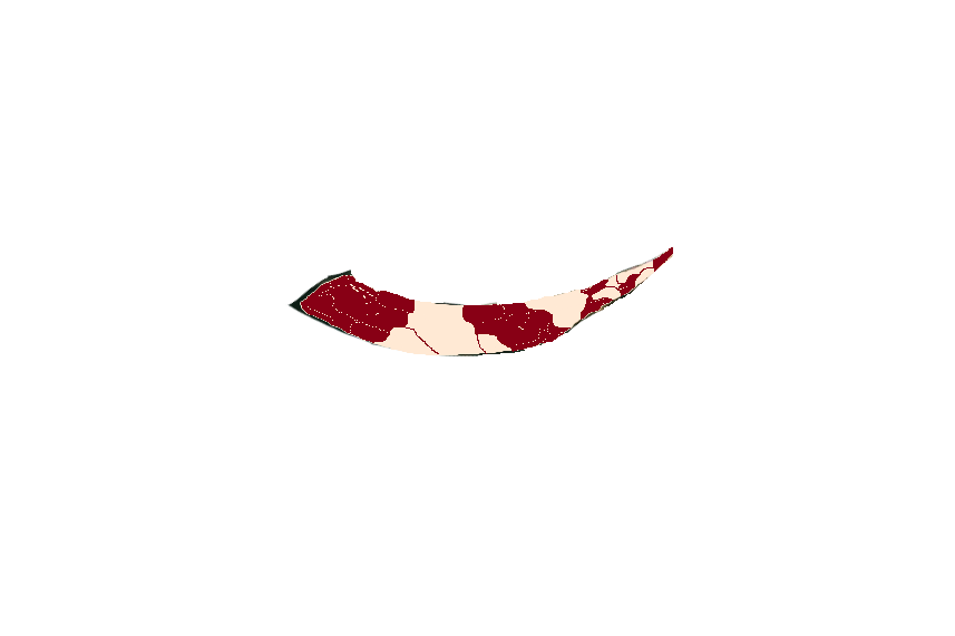 Blood Tusk