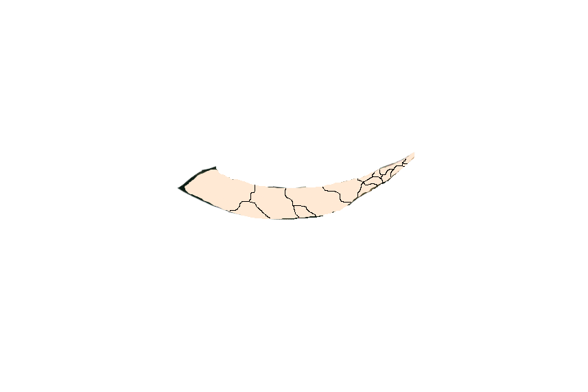 Cracked tusk rating