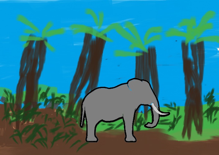 Western Forest region
